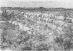 Historisk b�dleje ved Roskilde fjord, Marb�k, Frederikssund (1)